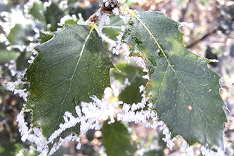 Cuisine et préparatifs